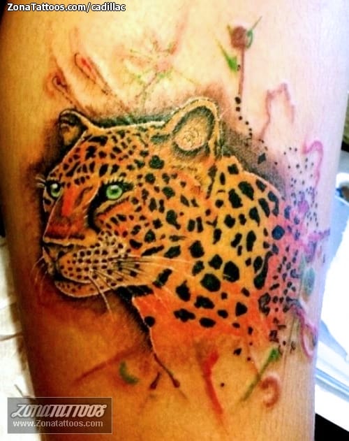 Foto de tatuaje Animales, Leopardos