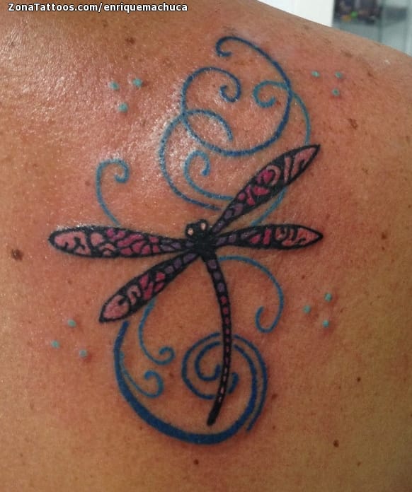 Tattoo photo Dragonflies, Insects, Flourish