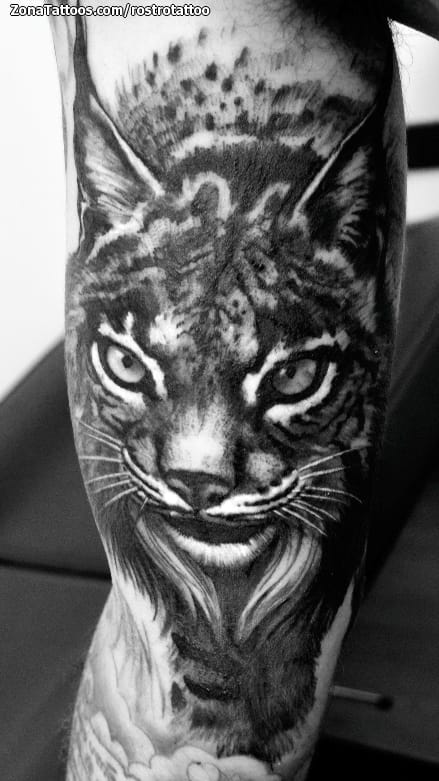 Foto de tatuaje Linces, Animales