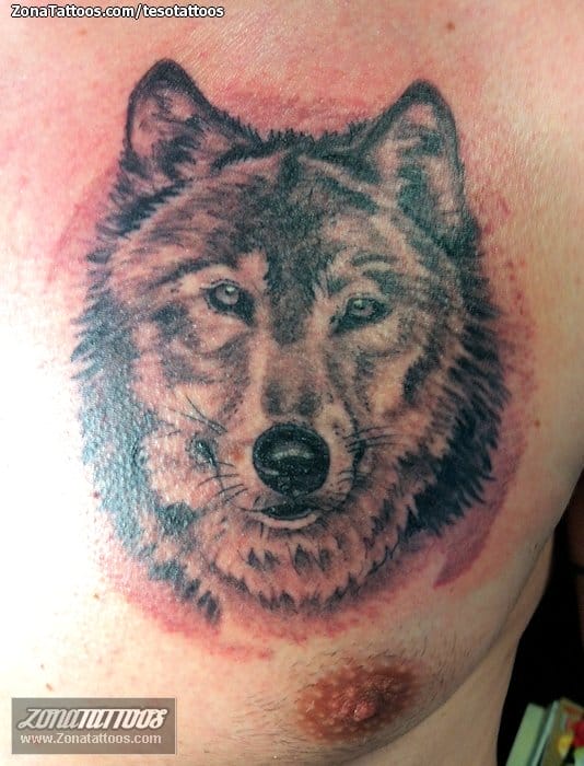 Tattoo photo Wolfs, Animals, Chest