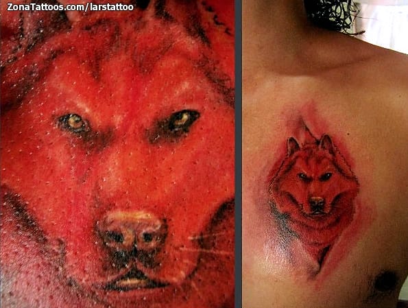 Foto de tatuaje Animales, Lobos, Pecho