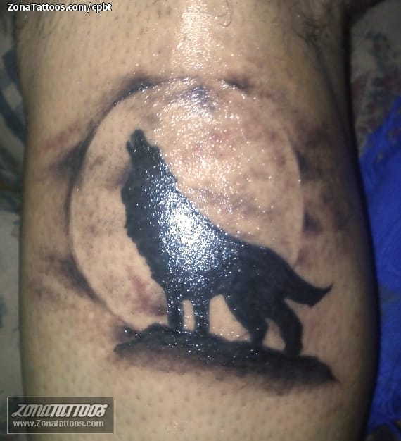 Tattoo photo Wolfs, Animals, Moons