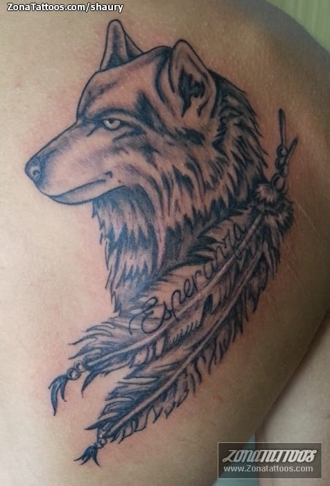 Tattoo photo Wolfs, Feathers, Animals