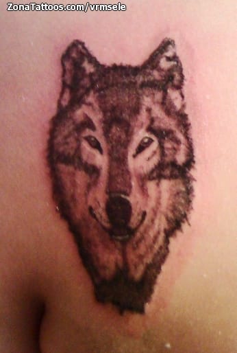 Tattoo photo Wolfs, Animals