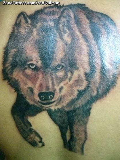 Foto de tatuaje Lobos, Animales