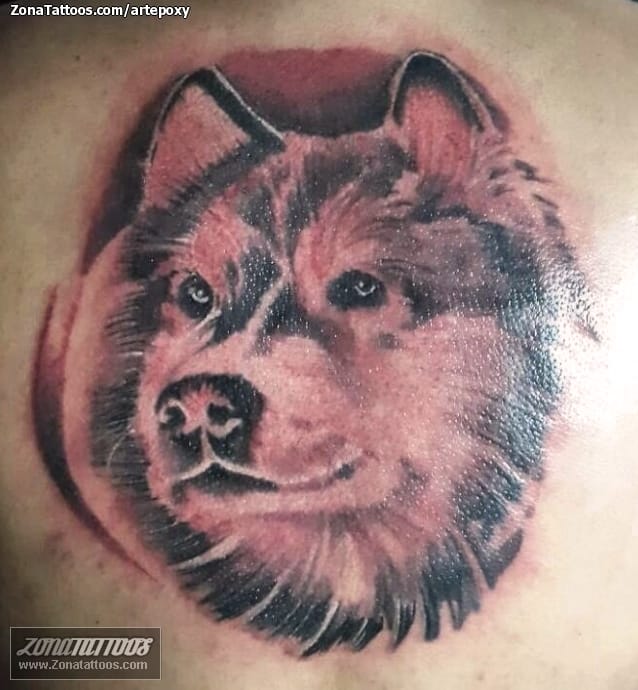 Tattoo photo Wolfs, Animals