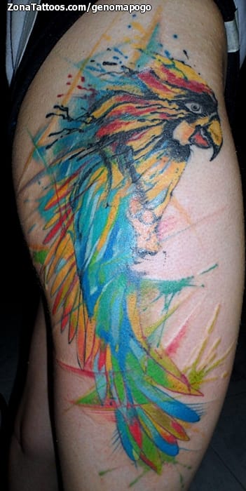 Foto de tatuaje Loros, Aves, Animales