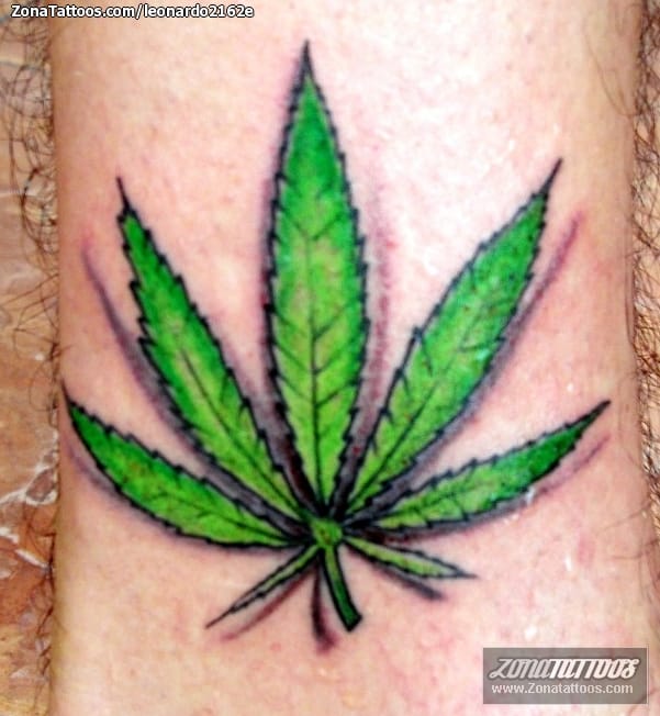 Foto de tatuaje Marihuana, Plantas, Hojas