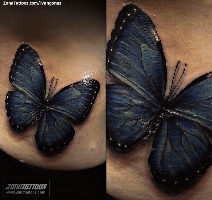 Tattoo photo Butterflies, Insects