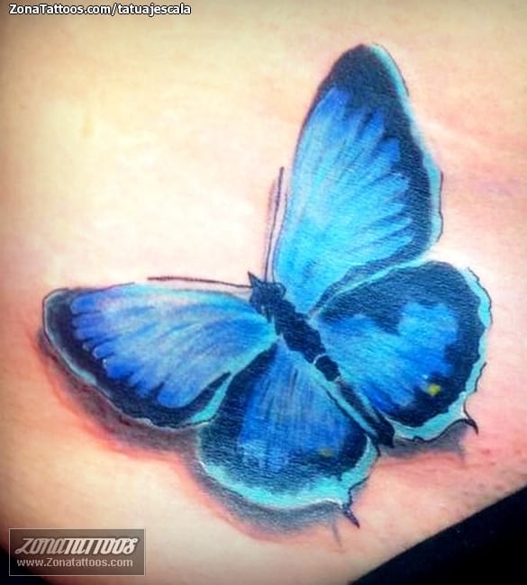 Foto de tatuaje Mariposas, Insectos