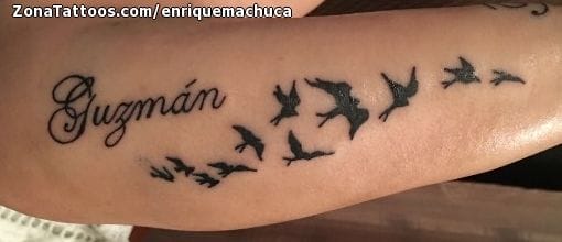 Foto de tatuaje Aves, Animales, Nombres