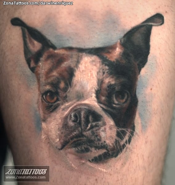 Tattoo photo Dogs, Animals