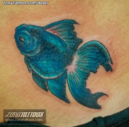 Foto de tatuaje Peces, Animales