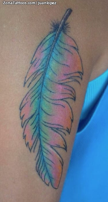 Tattoo photo Feathers