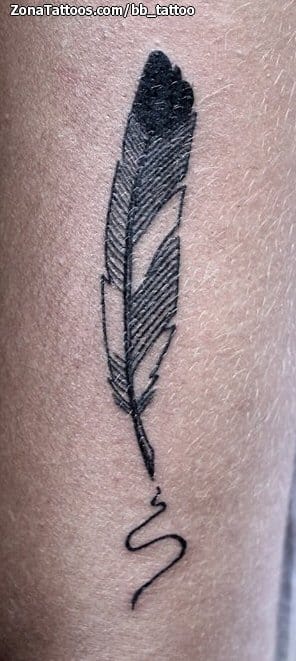 Foto de tatuaje Plumas