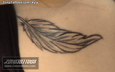 Foto de tatuaje Plumas