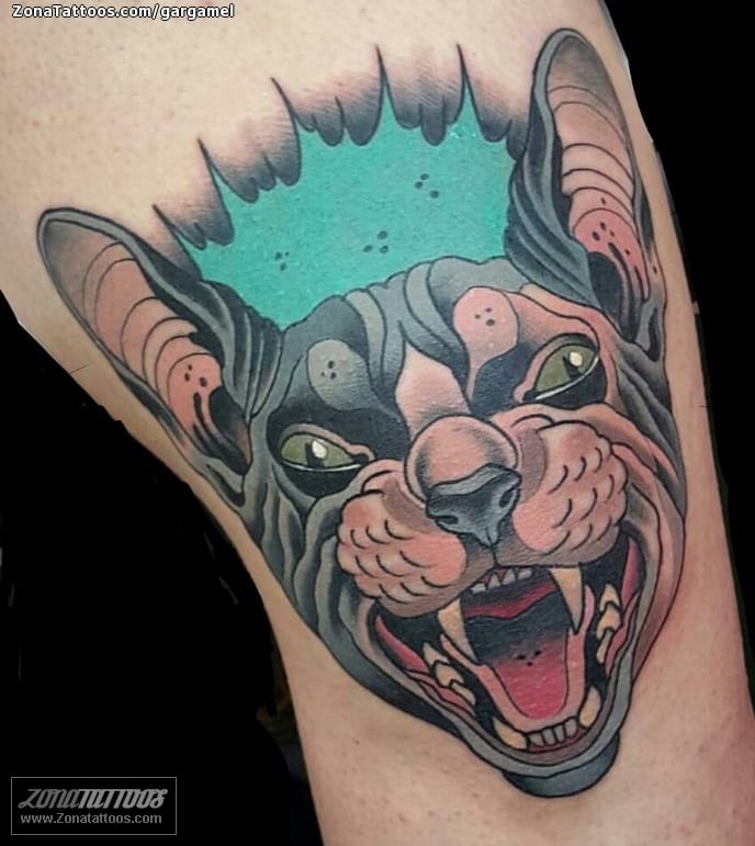 Foto de tatuaje Sphynx, Gatos, Animales