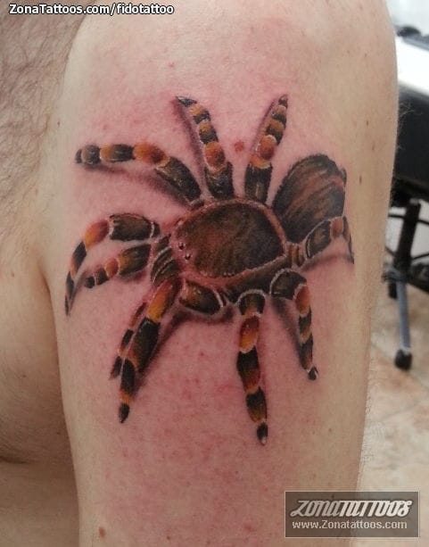 Tattoo photo Tarantulas, Animals