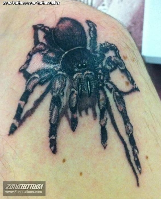 Foto de tatuaje Arañas, Tarántulas, Insectos