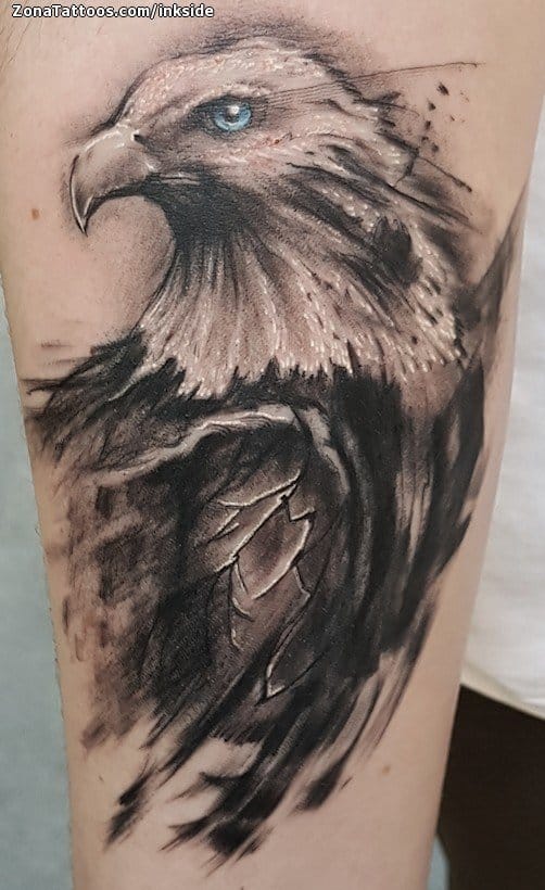 Tattoo of Eagles, Birds, Animals