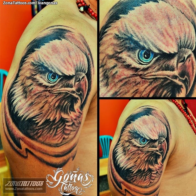 Foto de tatuaje Águilas, Aves, Animales