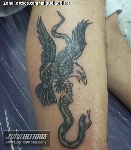 Tattoo photo Snakes, Eagles, Animals