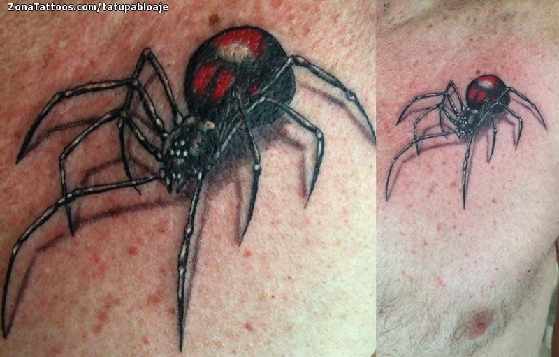 Foto de tatuaje Arañas, Pecho, Animales