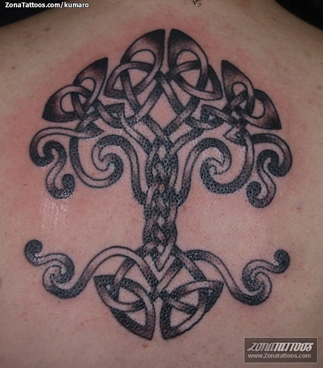 Tattoo photo Trees, Celtic, Crann Bethadh