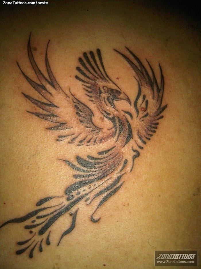 Tattoo photo Phoenix, Fantasy