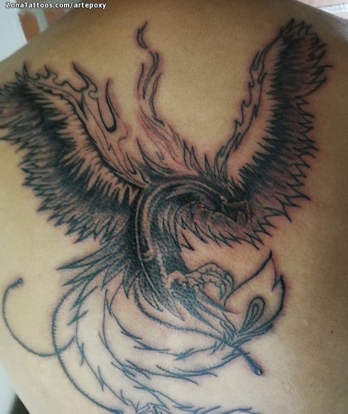 Tattoo photo Phoenix, Fantasy, Back