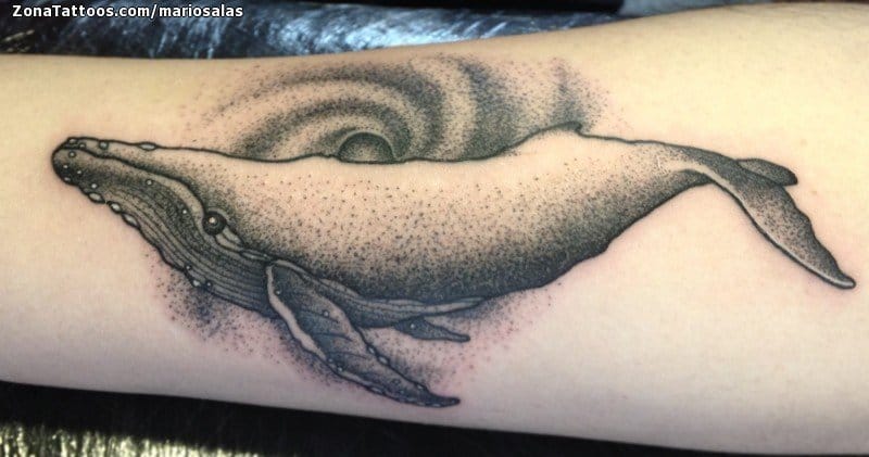 Foto de tatuaje Ballenas, Animales, Puntillismo