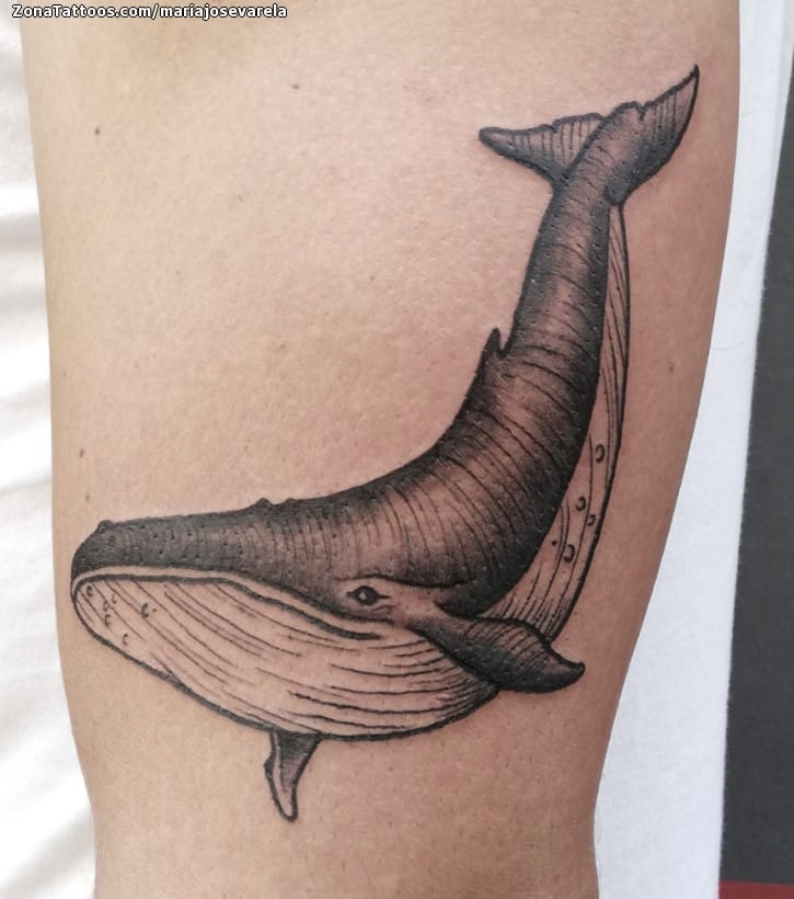 3sheets Whale & Planet Print Tattoo Sticker | SHEIN