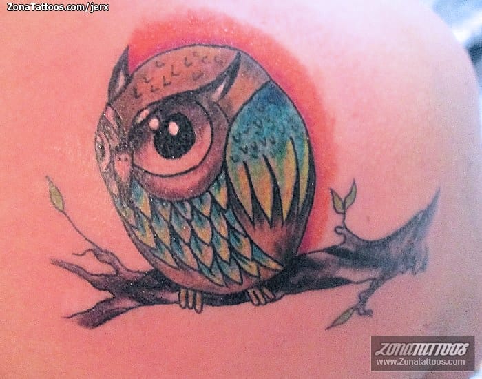 Foto de tatuaje Búhos, Aves, Animales