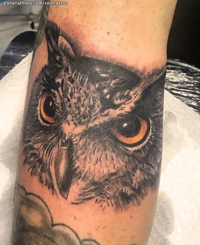 Foto de tatuaje Búhos, Aves, Animales