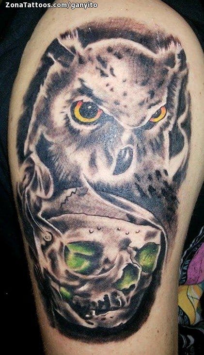 Foto de tatuaje Búhos, Aves, Animales