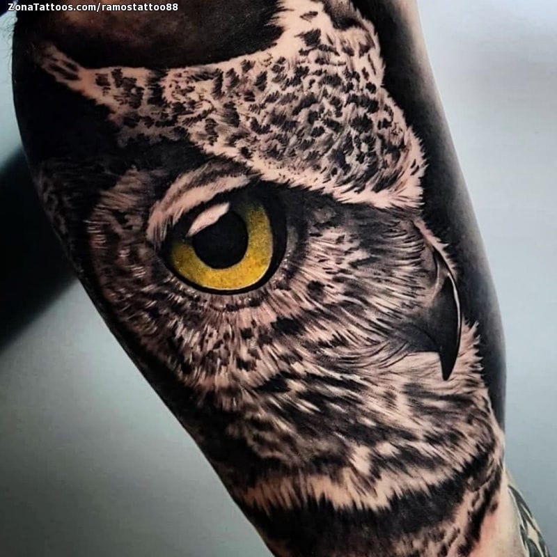 Foto de tatuaje Búhos, Animales, Aves