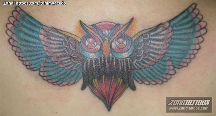 Foto de tatuaje Búhos, Aves, Animales