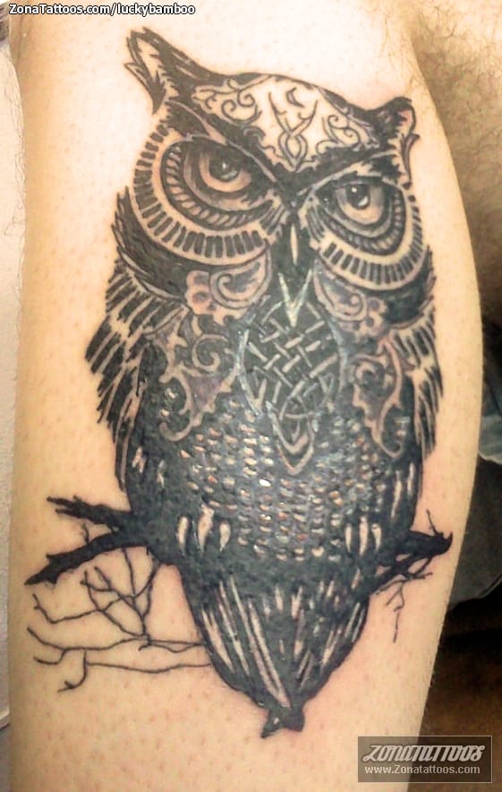 Foto de tatuaje Animales, Búhos, Aves