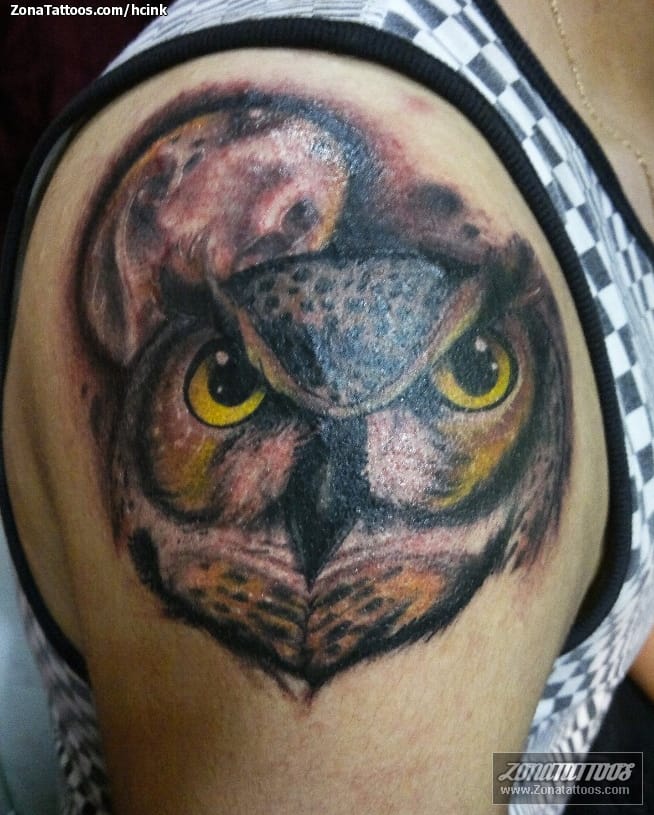 Foto de tatuaje Búhos, Aves, Animales