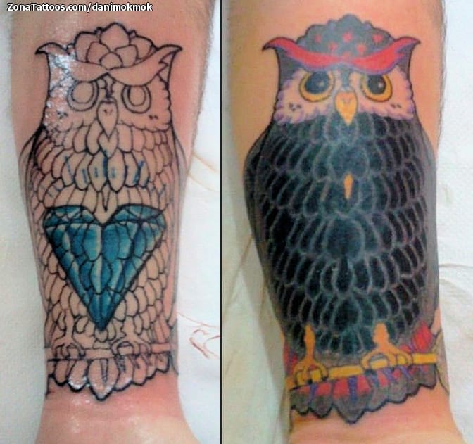 Foto de tatuaje Animales, Aves, Cover Up