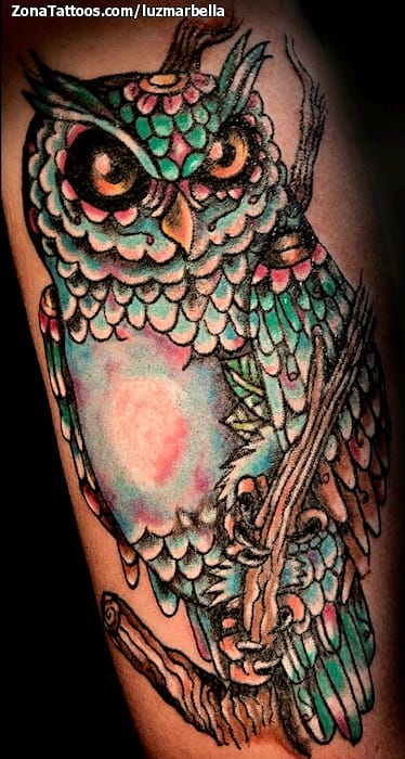 Tattoo photo Owls, Birds, Animals