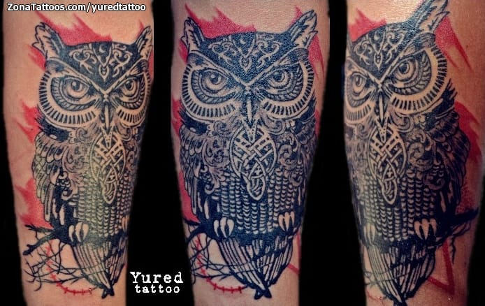 Foto de tatuaje Búhos, Aves, Animales