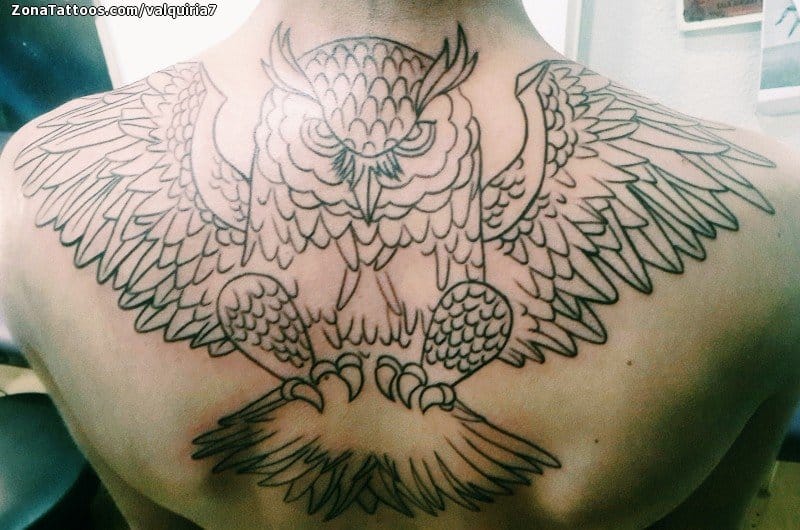 Foto de tatuaje Búhos, Aves, Animales