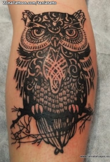 Foto de tatuaje Búhos, Aves, Animales