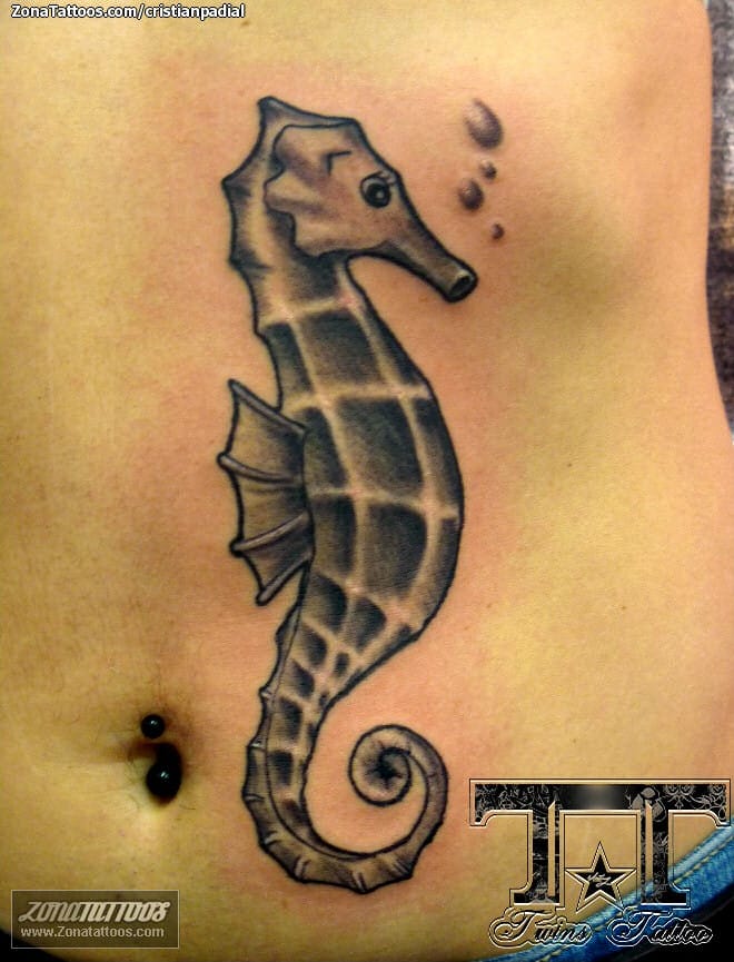 Tattoo photo Seahorses, New School, Animals