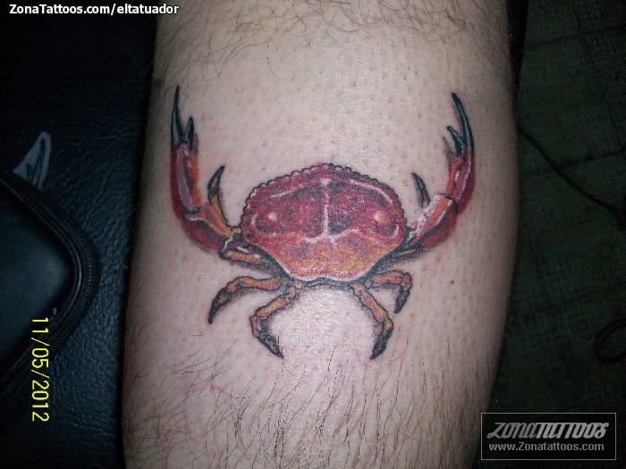 Tattoo photo Crabs, Animals