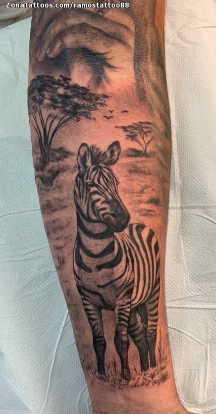 Foto de tatuaje Cebras, Animales, Árboles