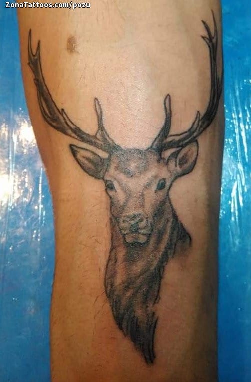 Foto de tatuaje Ciervos, Animales