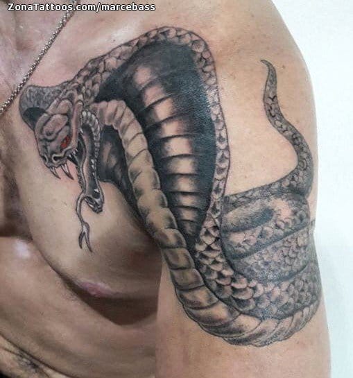 Got my new snake tattoo last friday by Coge Briz  rTattooDesigns