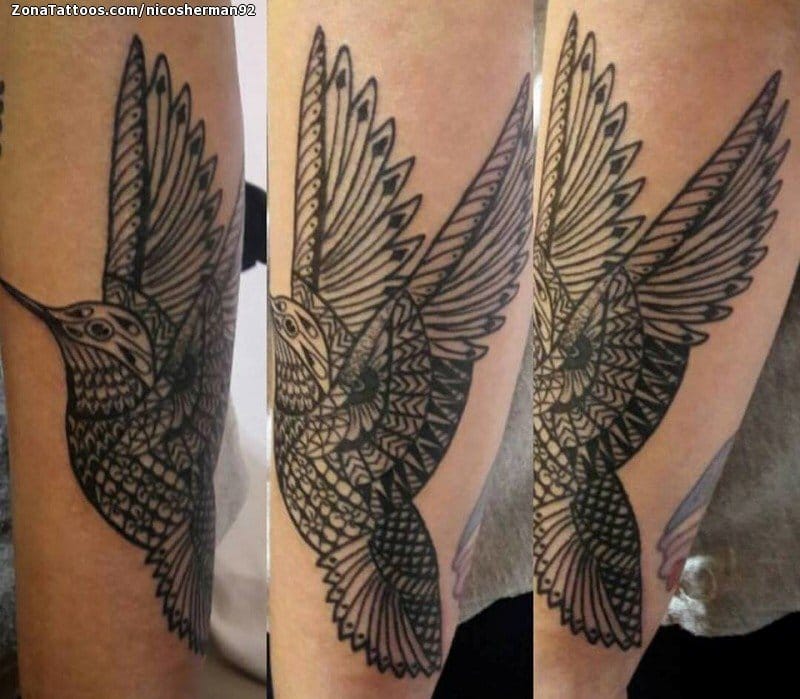 Foto de tatuaje Colibríes, Aves, Animales